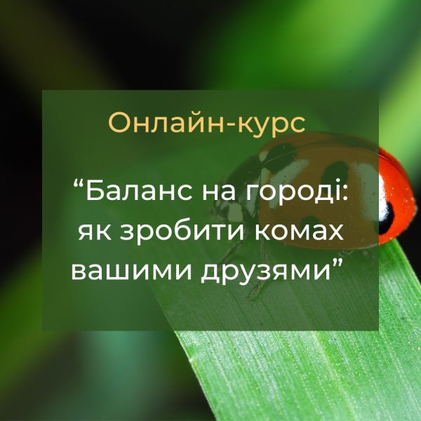 Курс "Баланс на вашому городі: як зробити всіх комах вашими друзями". Тариф "Дружній"