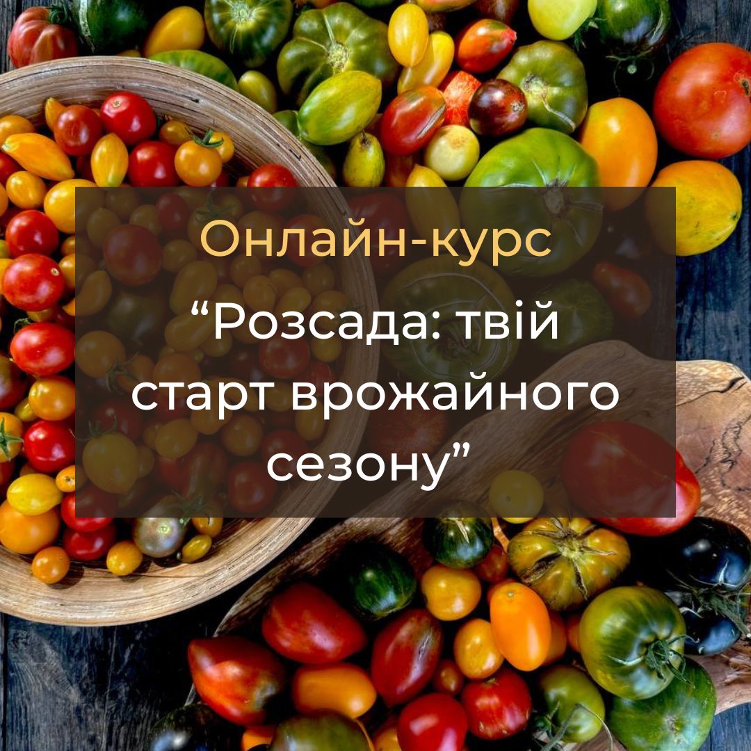 Курс “Розсада: твій старт врожайного сезону”